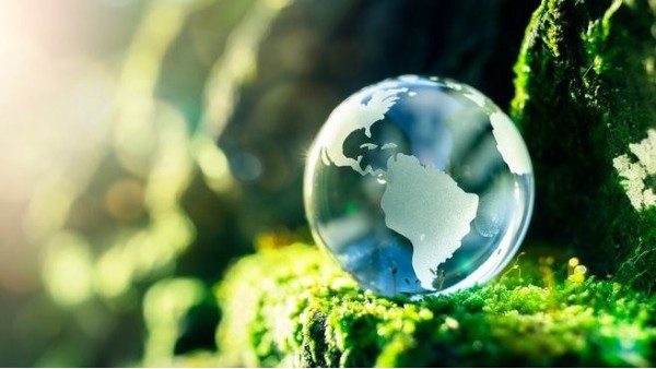 环保包装盒行业观点：构建连贯的循环经济