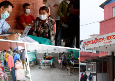 डेंगु संक्रमण सतहत्तरै जिल्लामाः काठमाडौंका अस्पताल भरिभराउ, बालुवाटार बैठकमा हुँदैन चर्चा