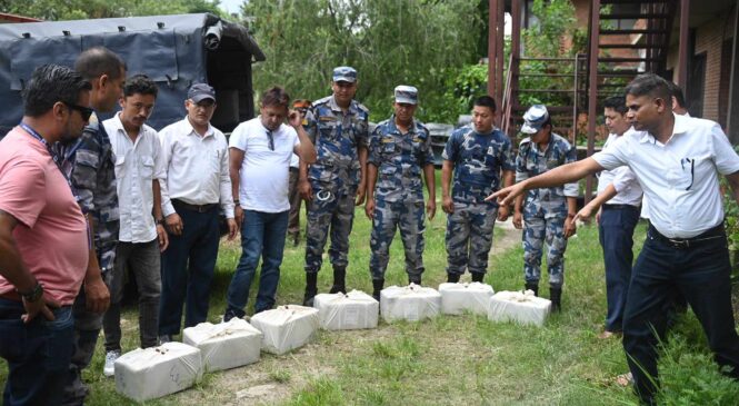 सय किलो सुनको कहानीः यसरी गरियो अपरेसन, यस्ता छन् अबका योजना