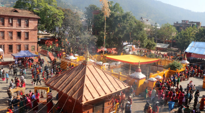 हरिबोधनी एकादशी: काठमाडौँसहित देशभरका नारायण मन्दिरमा भक्तजनको घुइँचो