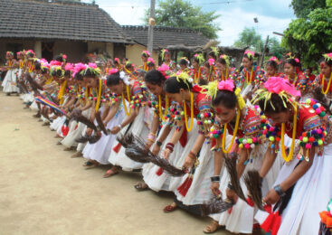 सखिया नृत्य देखाउँदै थारु समुदायका युवती