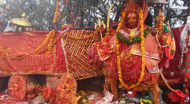 पाथीभरा मन्दिरमा एक महिनामा २० लाख भेटी संकलन