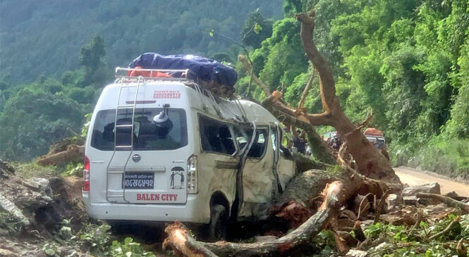 गुडिरहेको माइक्रो बसमाथि रूख ढल्दा नौ यात्रु घाइते